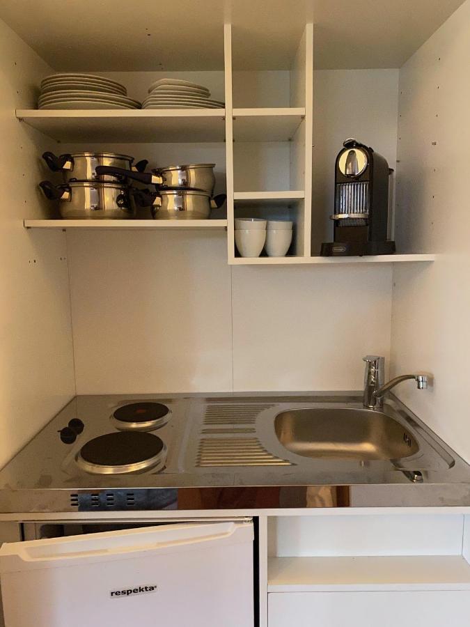 Modernes Alpenapartment Mit Sauna Wintergarten Und Pool Apartment Salzburg