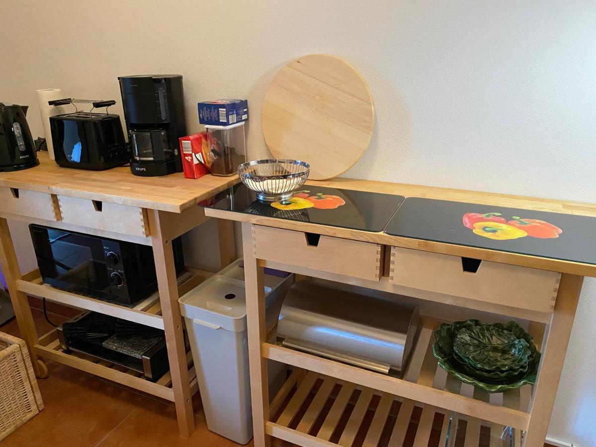 Modernes Alpenapartment Mit Sauna Wintergarten Und Pool Apartment Salzburg